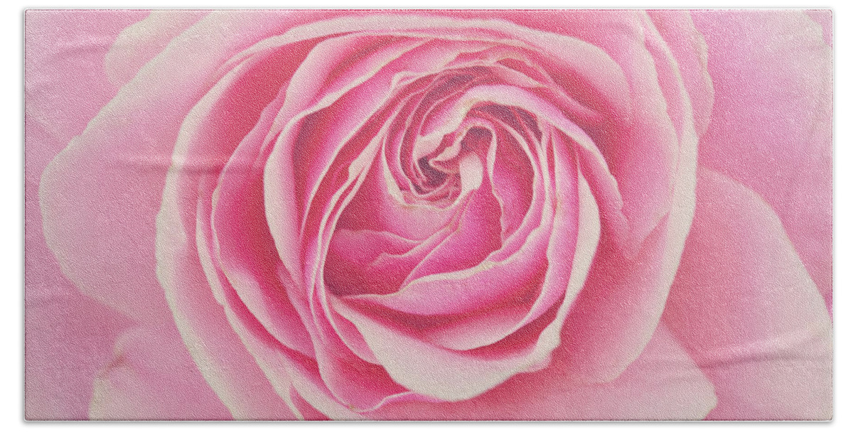 Pink Rose Petals Beach Towel by Melanie Alexandra Price - Pixels