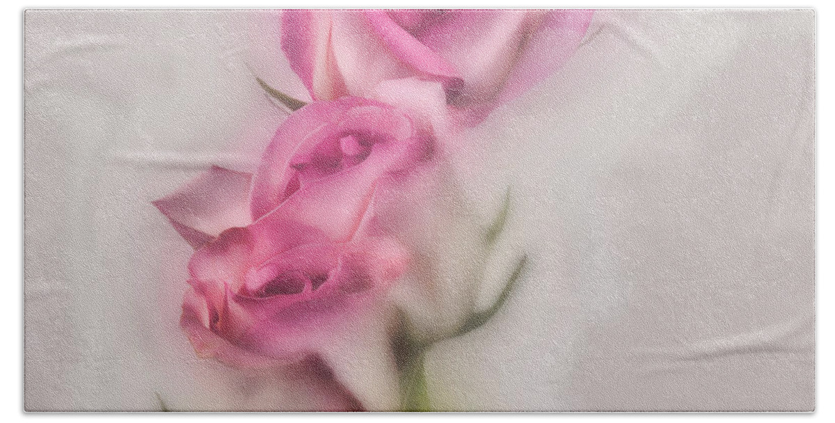 Roses Beach Towel featuring the photograph Pink Roses by Shirley Mangini