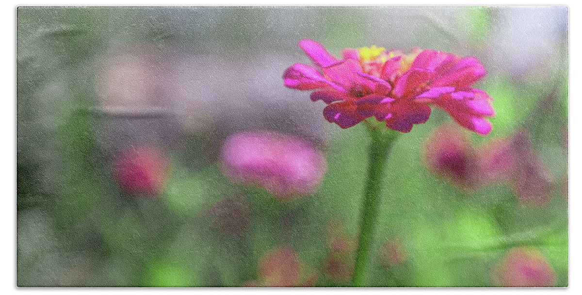 Aperture Beach Towel featuring the photograph Pink Zinnia by SR Green