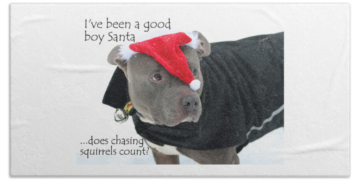 Pit Bull Beach Sheet featuring the photograph Pit Bull Christmas Two by Sue Long