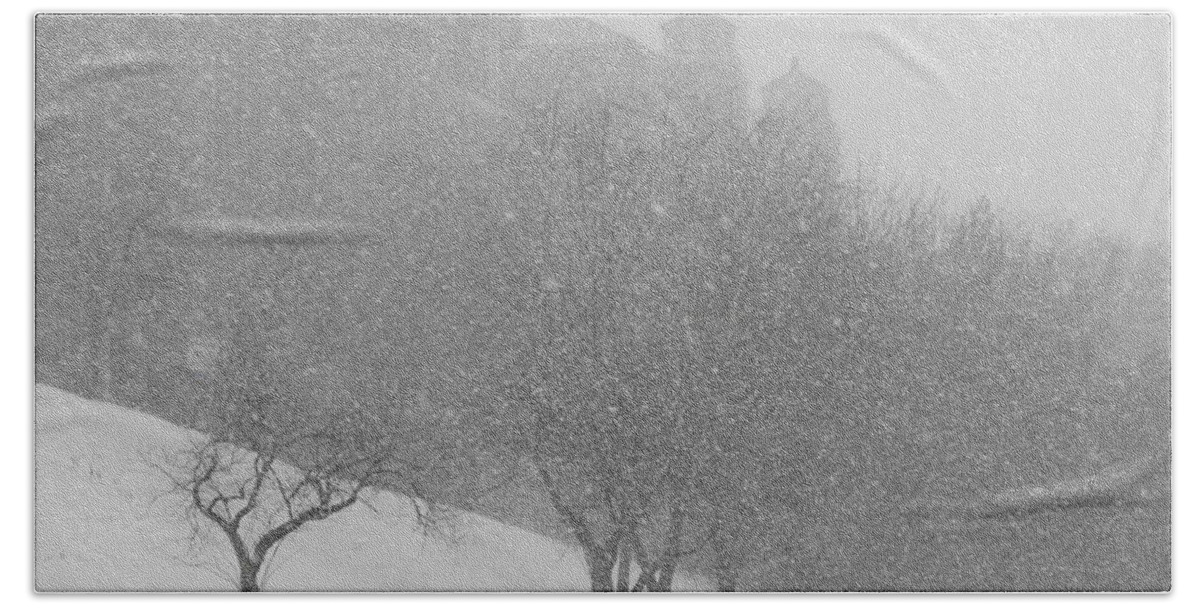 Kcmo Beach Towel featuring the photograph Plaza Impressionism with KC Snow by Michael Oceanofwisdom Bidwell