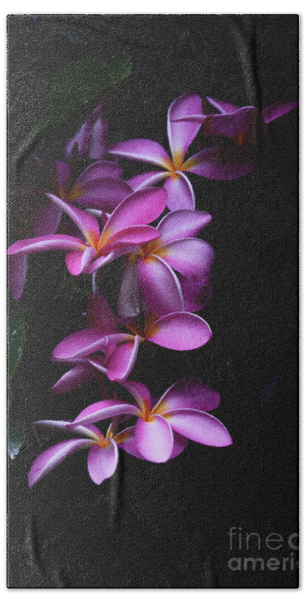Plumerias Beach Towel featuring the photograph Plumeria Light by Kelly Wade