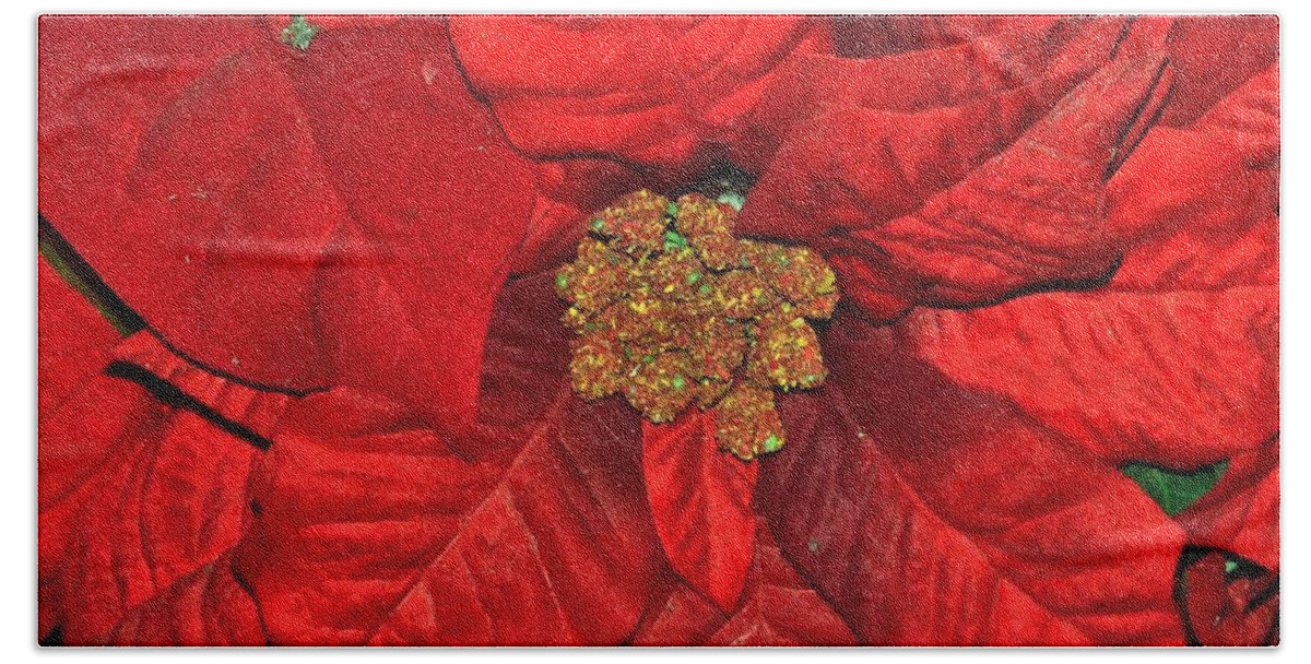 Flowers Beach Towel featuring the photograph Poinsettia by Eileen Brymer