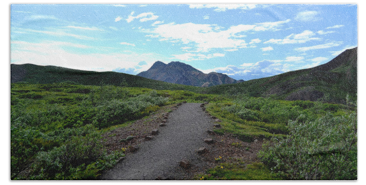 Denali Beach Towel featuring the photograph Polychrome Pass Trail, Denali by Zawhaus Photography