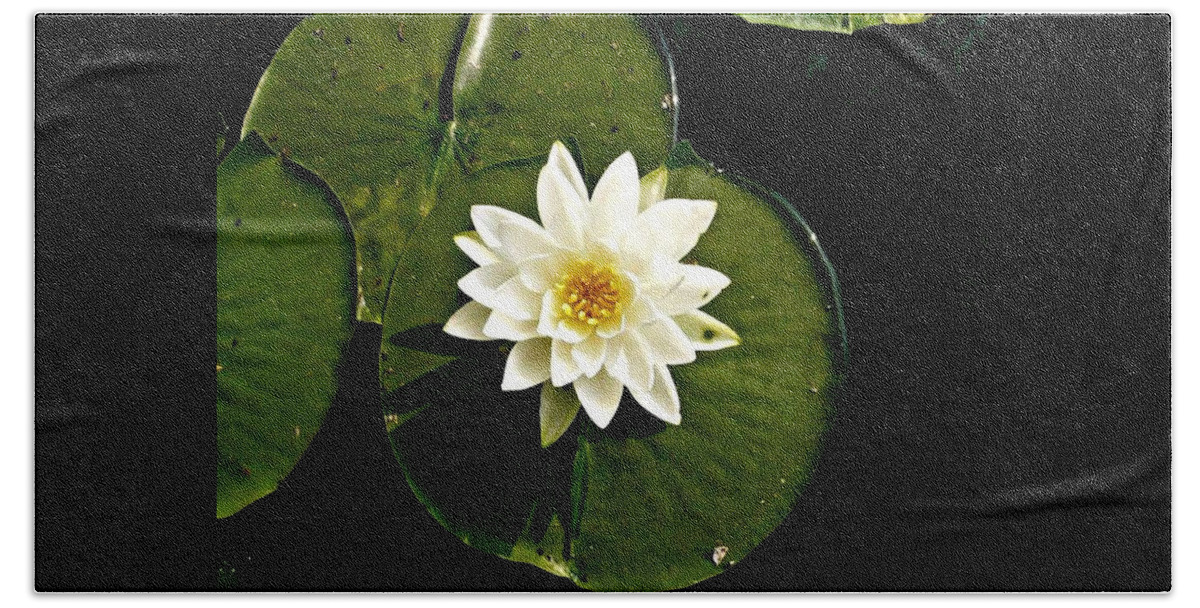White Beach Sheet featuring the photograph Pond Lily by 'REA' Gallery
