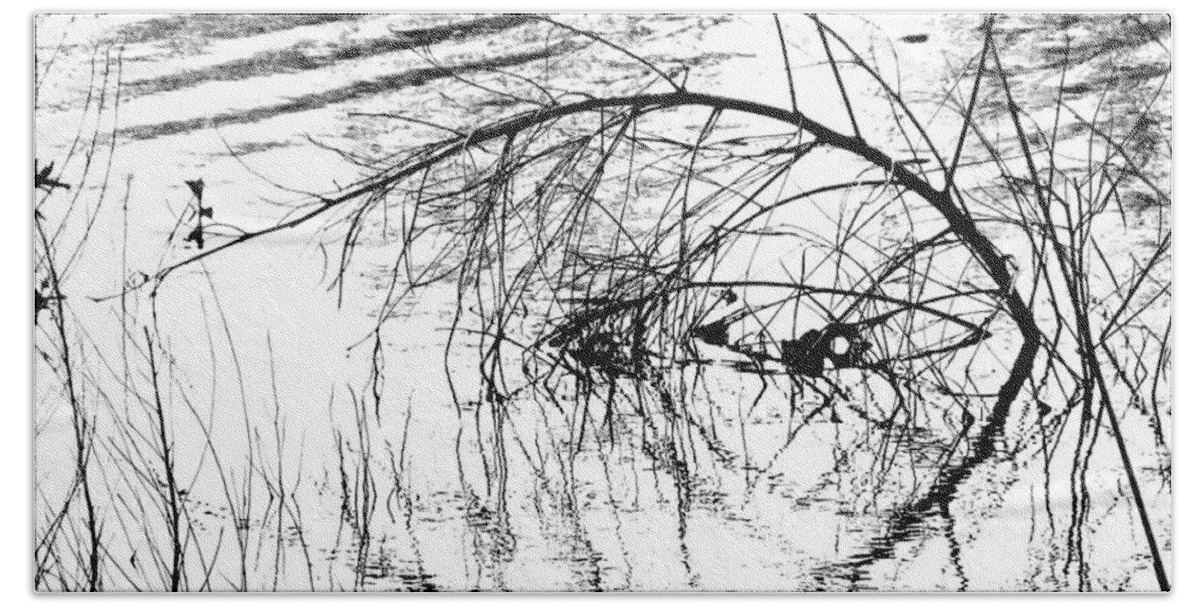 Black White Image Beach Sheet featuring the photograph Pond Study by Lizi Beard-Ward