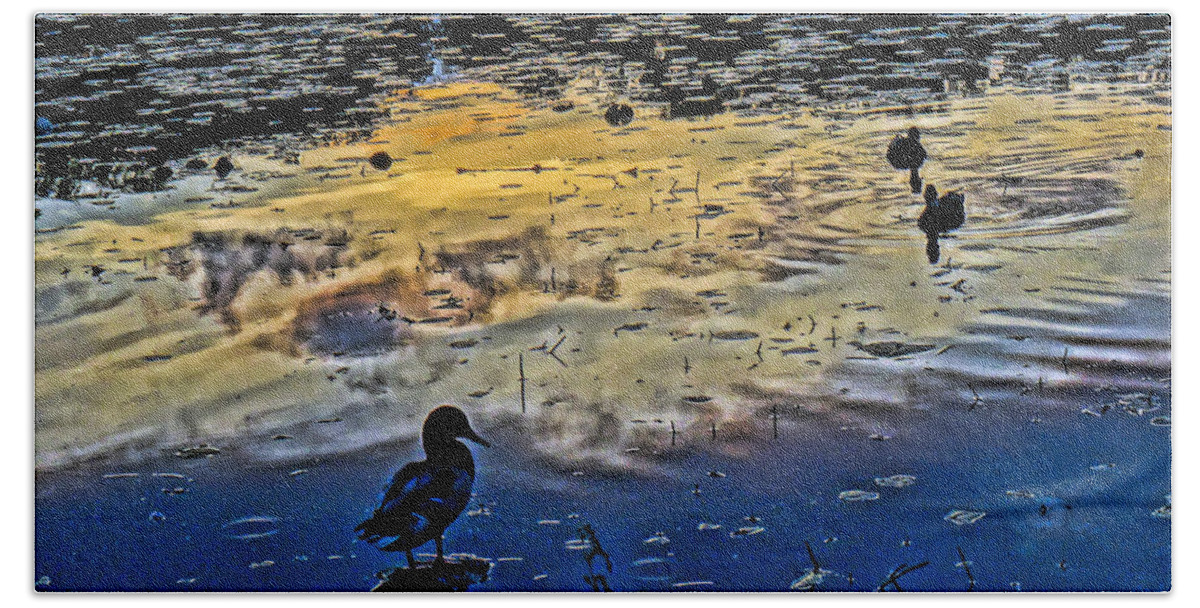 'ducks Beach Towel featuring the photograph Pondscape by Jeffrey Friedkin