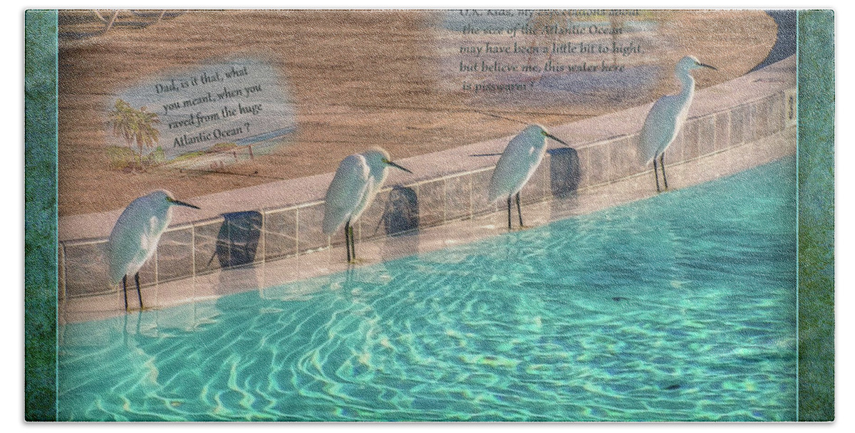 Pool Beach Towel featuring the photograph Pool Talk by Hanny Heim