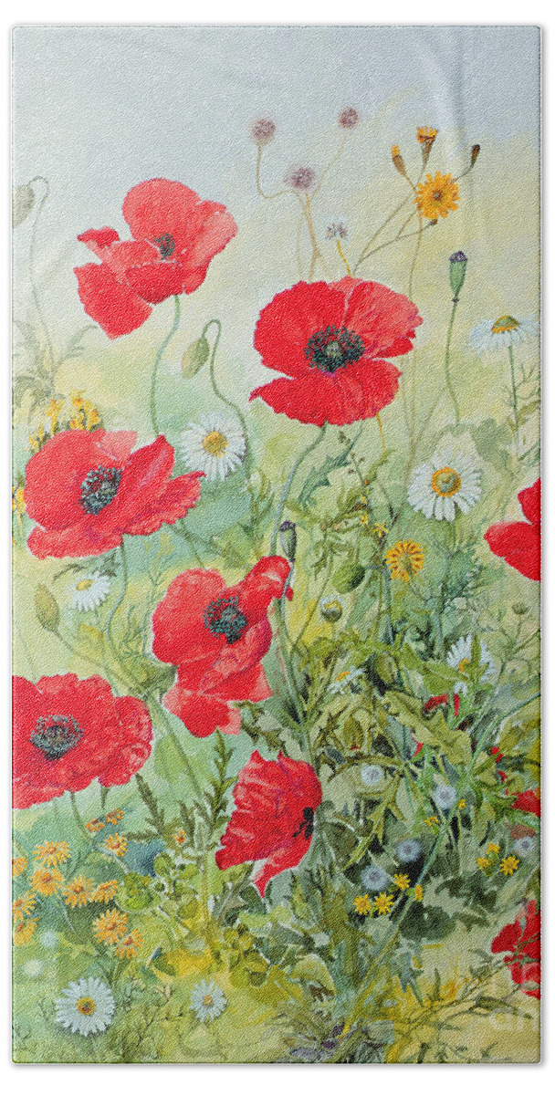 Flowers; Botanical; Flower; Poppies; Mayweed; Leaf; Leafs; Leafy; Flower; Red Flower; White Flower; Yellow Flower; Poppie; Mayweeds Beach Towel featuring the painting Poppies and Mayweed by John Gubbins
