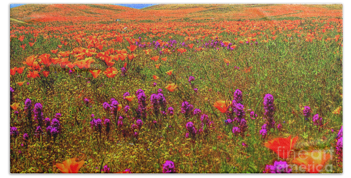 Wild Flowers Beach Towel featuring the photograph Poppies by Mark Jackson