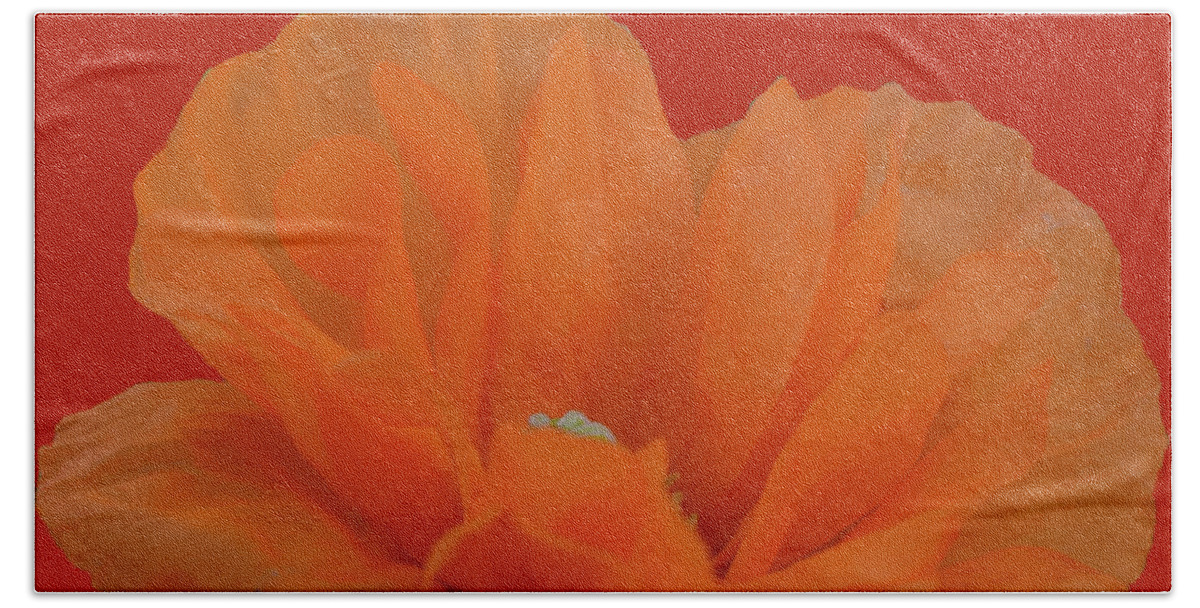 Flowers Beach Towel featuring the photograph Poppy Art # 4 by Jimmy Chuck Smith