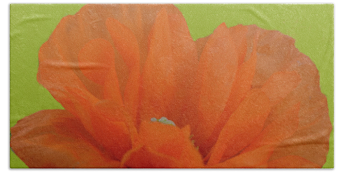 Flowers Beach Towel featuring the mixed media Poppy Art by Jimmy Chuck Smith
