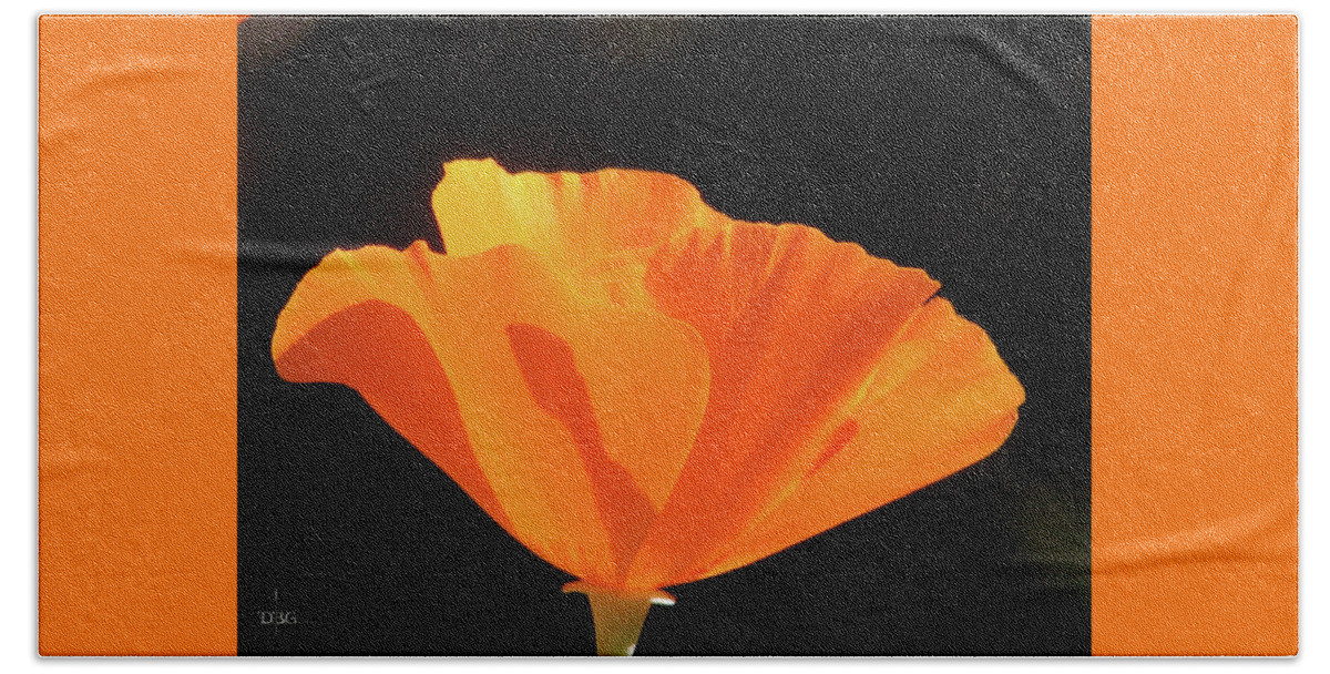 Poppy Beach Towel featuring the photograph Poppy by David Bader