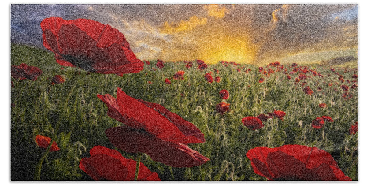 Appalachia Beach Towel featuring the photograph Poppy Field by Debra and Dave Vanderlaan