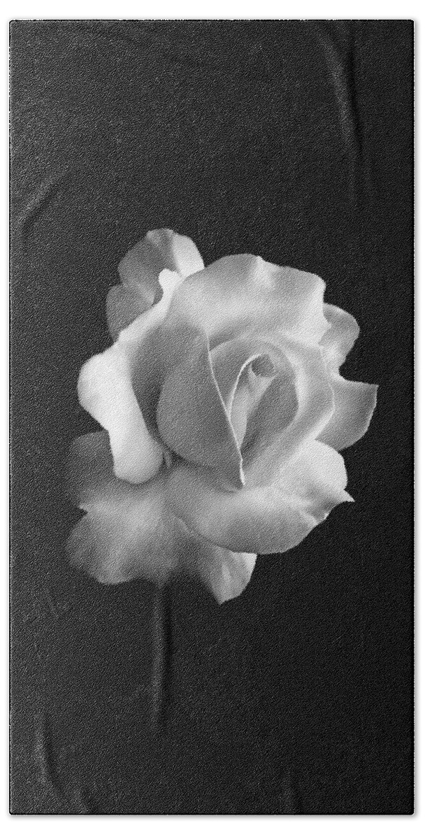 Rose Beach Towel featuring the photograph Porcelain Rose Flower Black and White by Jennie Marie Schell