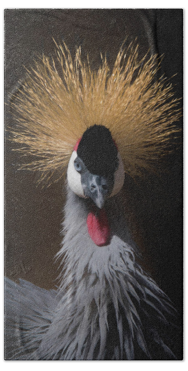 African Crowned Cranes Beach Sheet featuring the digital art Portrait of a Crowned Crane 2 by Ernest Echols