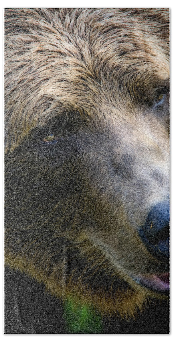 Grizzly Beach Sheet featuring the photograph Portrait of a Grizzly by Lana Trussell