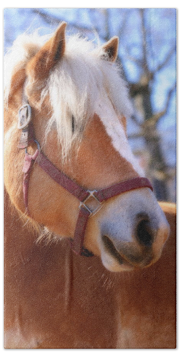 Horse Beach Towel featuring the photograph Portrait of a Haflinger - Niko by Angela Rath