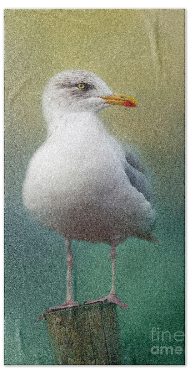 Seagull Beach Sheet featuring the photograph Portrait of a Seagull by Teresa Wilson