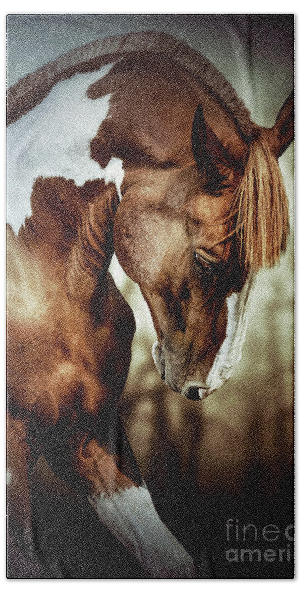 Horse Beach Towel featuring the photograph Portrait of paint horse stallion by Dimitar Hristov