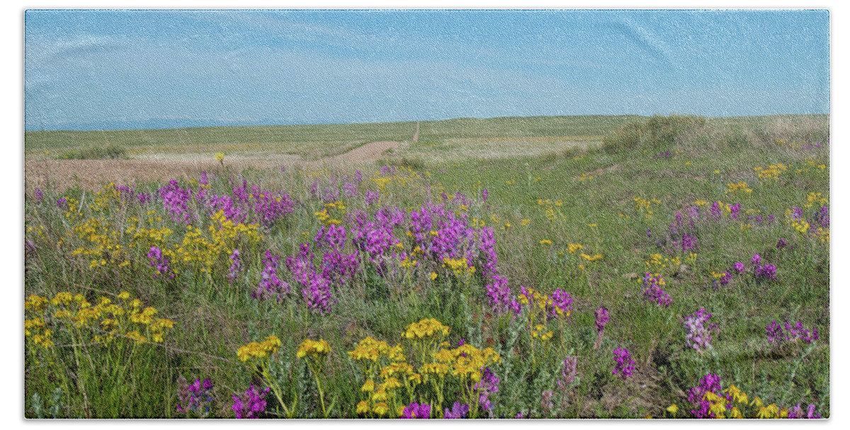 Prairie Beach Towel featuring the photograph Prairie in Bloom by Cascade Colors