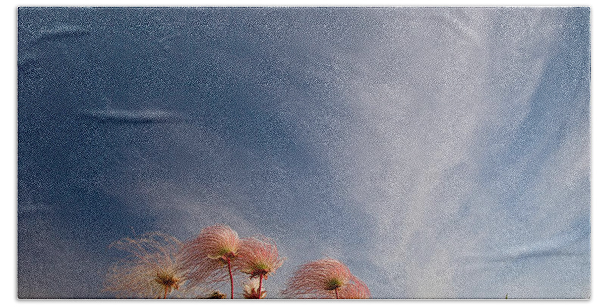 Eagle Rock Beach Towel featuring the photograph Prairie Smoke on the Prairie by Rikk Flohr