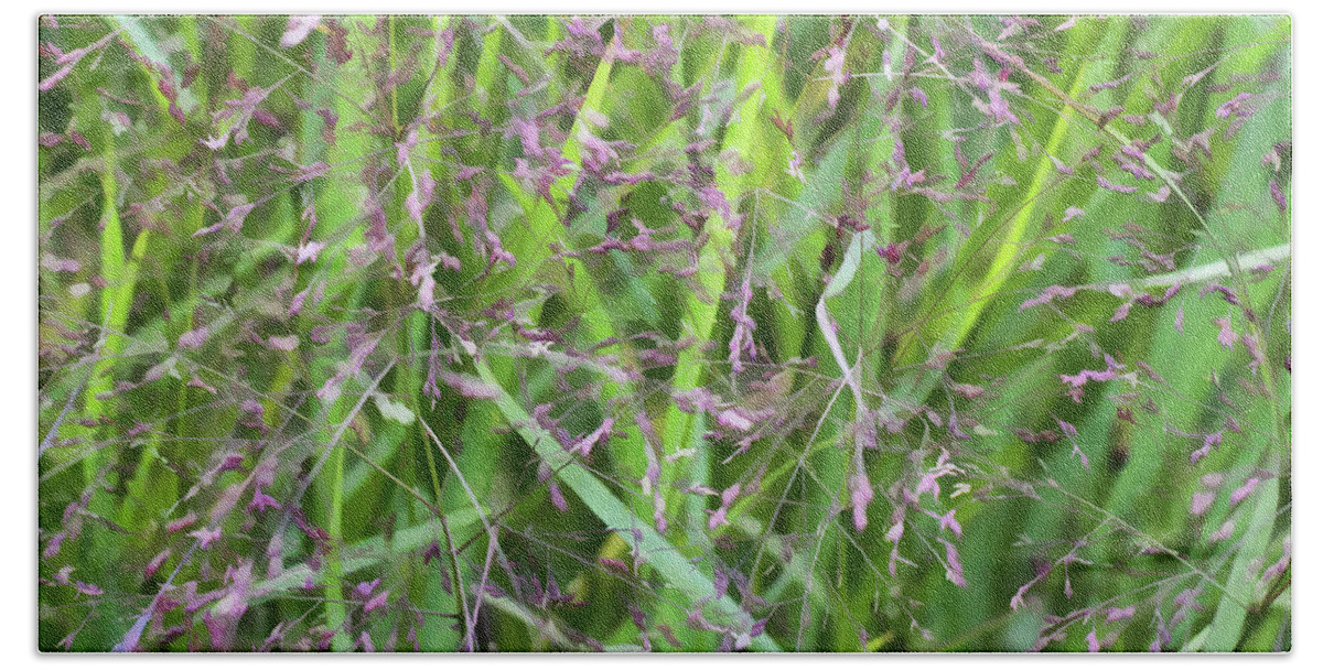September Grasses Beach Sheet featuring the photograph Prelude to Green - by Julie Weber