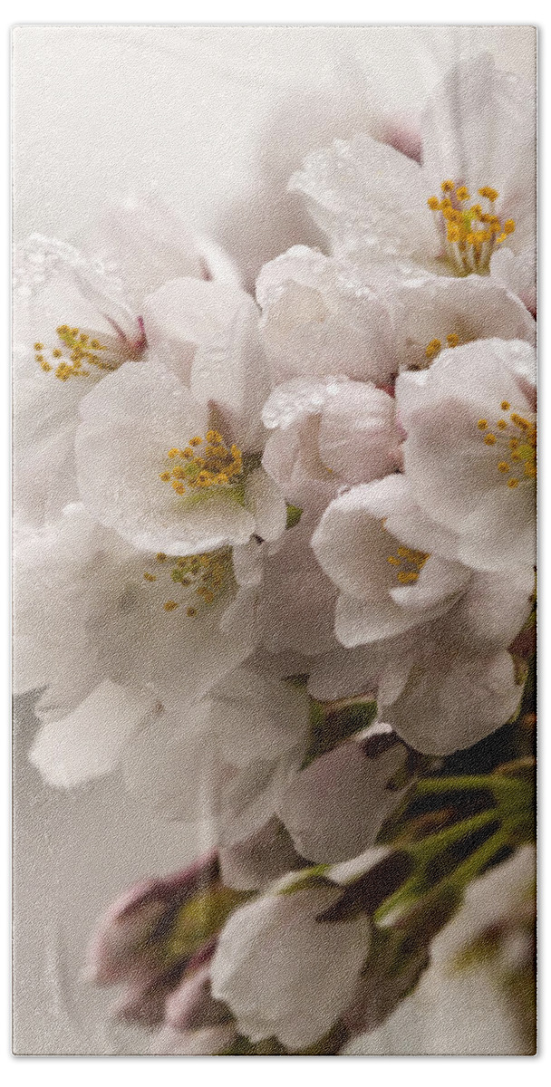 Cherry Blossom Beach Sheet featuring the photograph Pretty In Pink by Edward Kreis