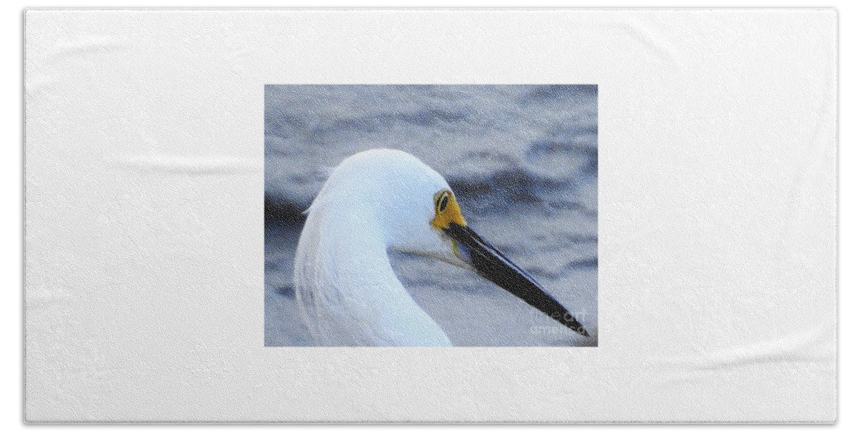Coastal Birds Beach Towel featuring the photograph Profile Of Beauty by Jan Gelders