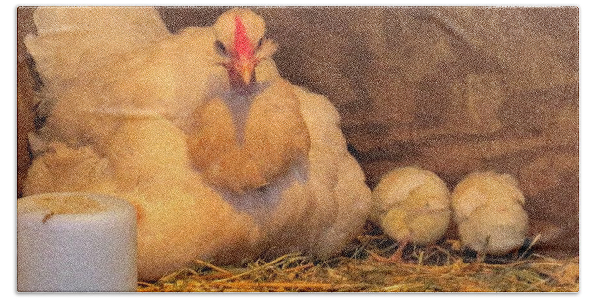 Chickens Beach Sheet featuring the photograph Proud Mother Hen by Jeanette Oberholtzer