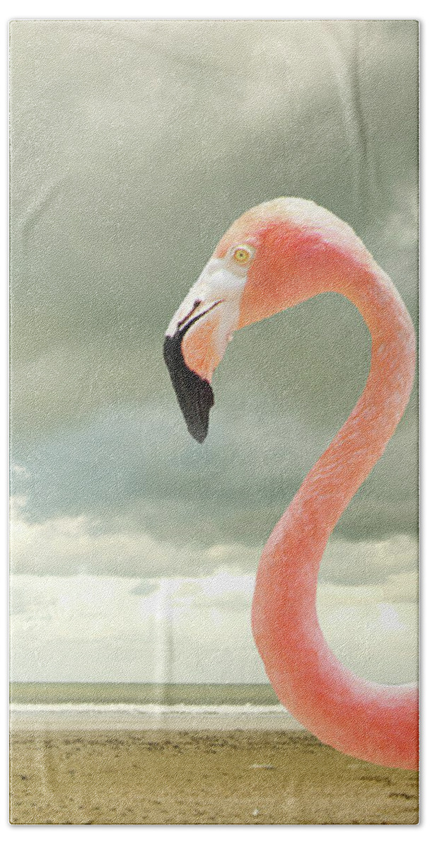 Flamingo Beach Towel featuring the photograph Proud to be pink by Adriana Zoon