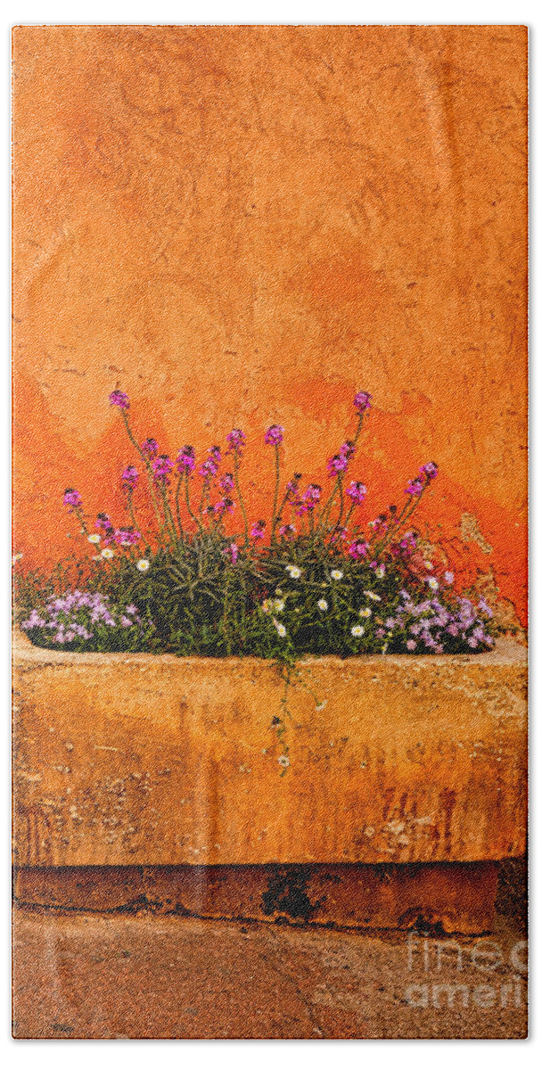 Provence Beach Towel featuring the photograph Provencal Melody by Olivier Le Queinec