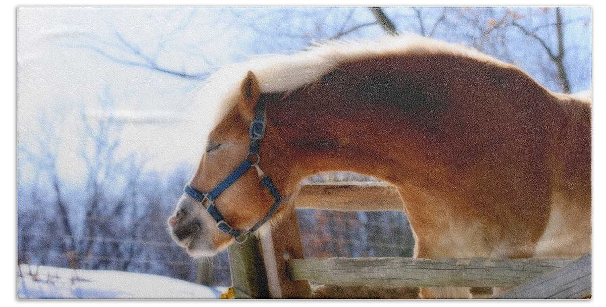 Horse Beach Sheet featuring the photograph Pssssssh.....It's Not Cold by Angela Rath