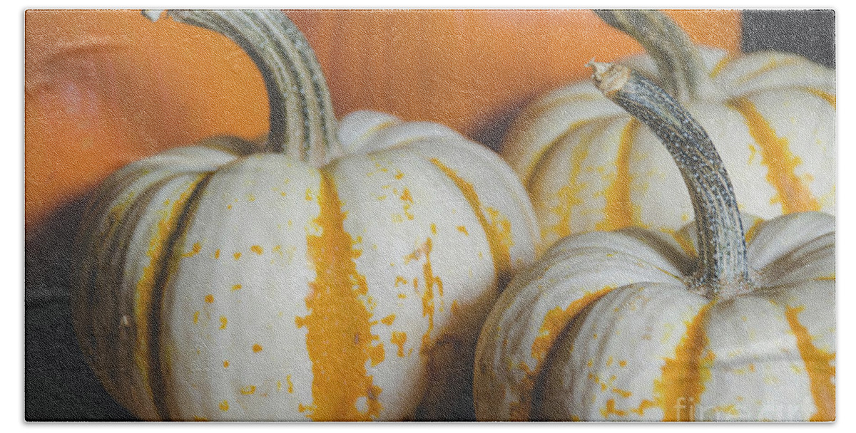 Holidays Beach Towel featuring the photograph Pumpkins 8 by Andrea Anderegg