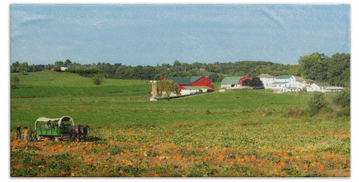 Ohio Beach Towel featuring the photograph Pumpkins on an Ohio Amish Farm by Mountain Dreams