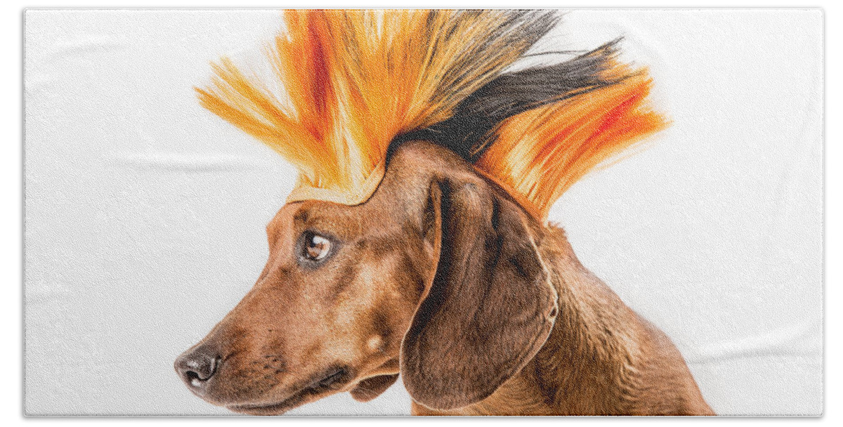 Roni B Beach Towel featuring the photograph Punk Rock Dachshund by SR Green