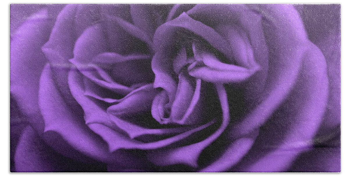 Rose Beach Towel featuring the digital art Purple bliss by Teri Schuster