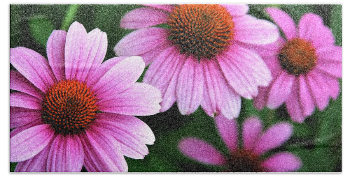 Purple Cone Flower Beach Towel featuring the photograph Purple Cone Flower 3616_2 by Steven Ward