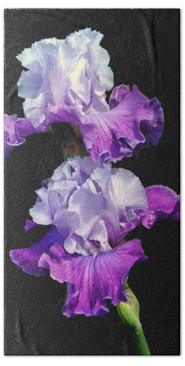 Purple Iris.iris Beach Towel featuring the photograph Purple Duet by Dave Mills
