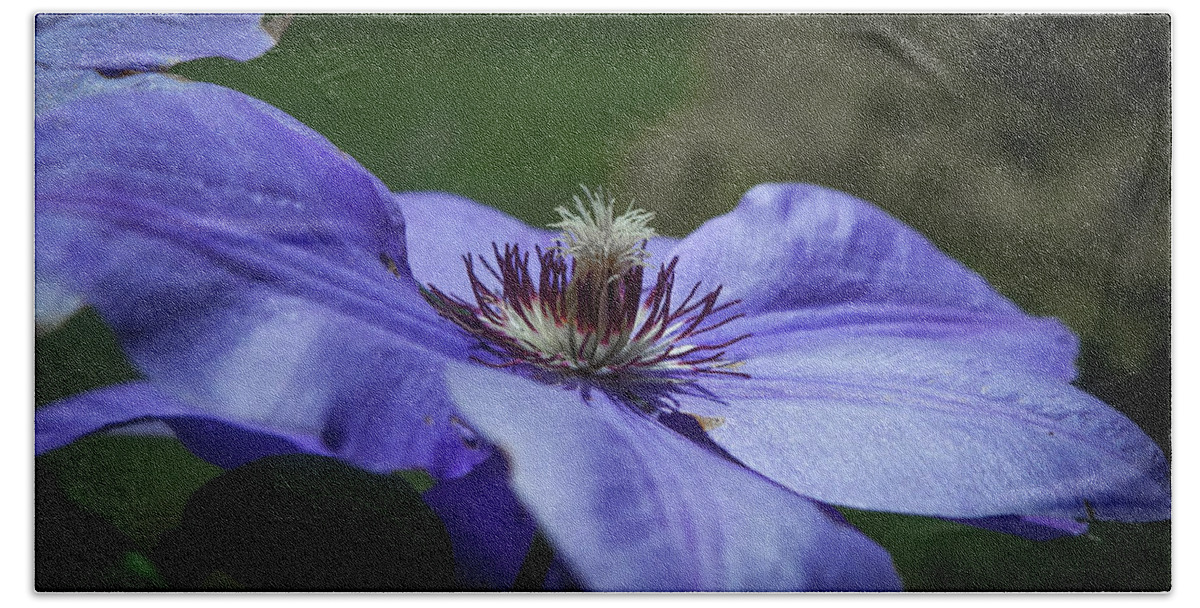 Flower Beach Towel featuring the photograph Purple Flower by Henri Irizarri