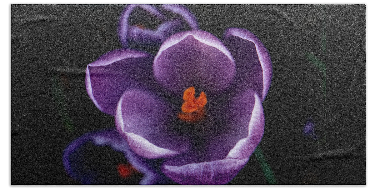Scented Beach Towel featuring the photograph Purple Flower by Pelo Blanco Photo