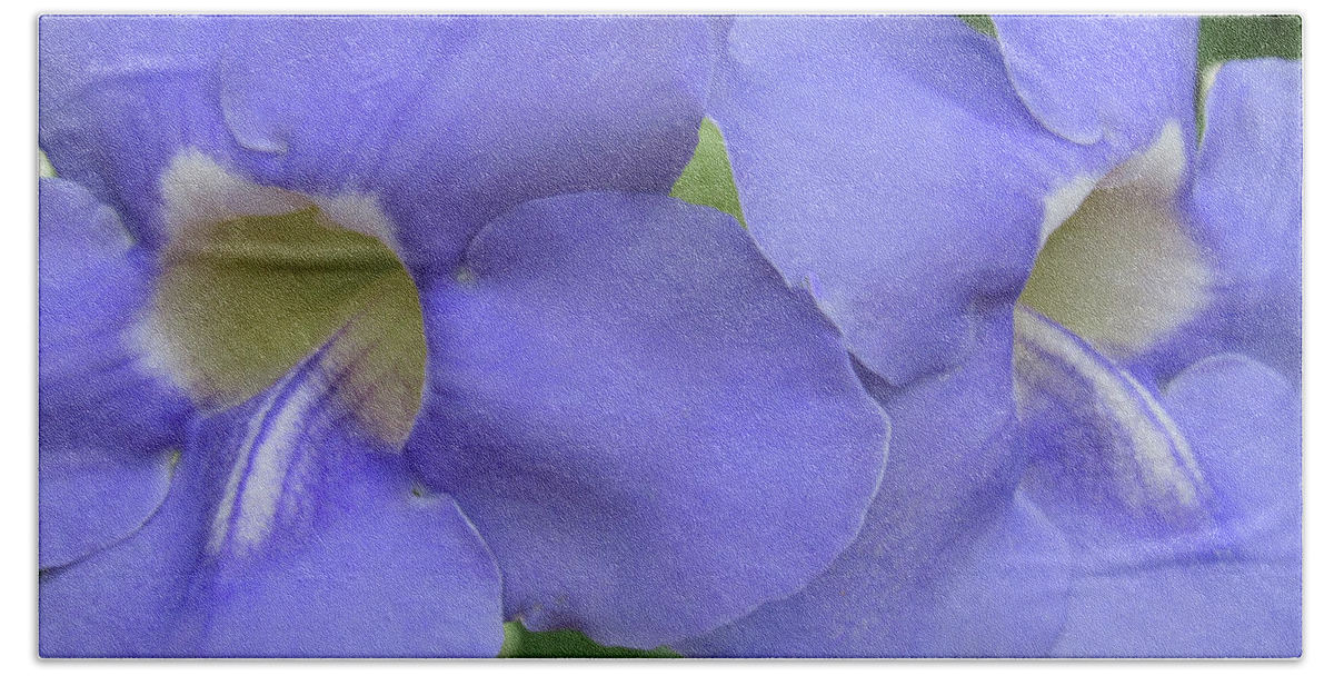 Flower Poster Beach Sheet featuring the photograph Purple Flower Picture Perfect by Roberta Byram