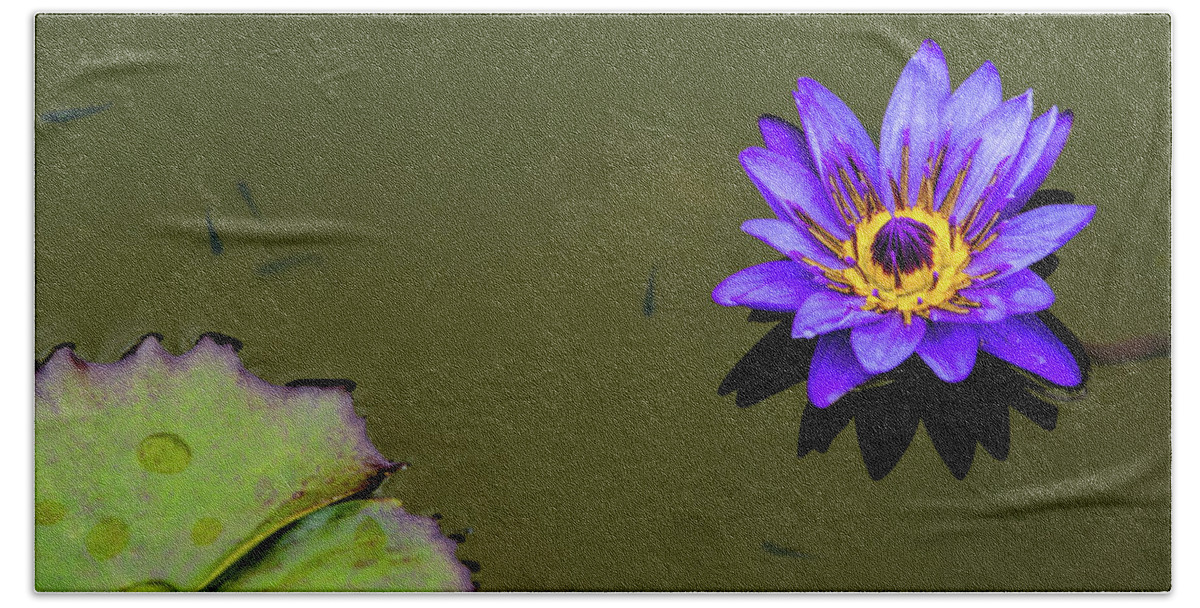 Bloom Beach Towel featuring the photograph Purple Lily with Tiny Fish by Dennis Dame