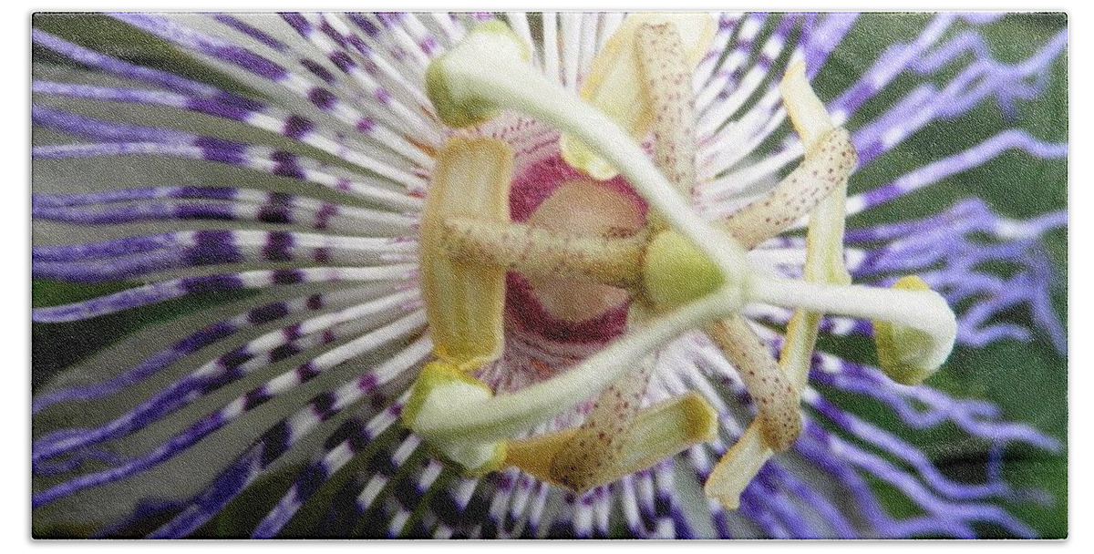 #3d Beach Sheet featuring the photograph Purple Passion Flower by Belinda Lee