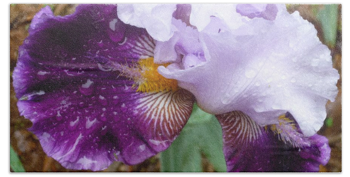 Flower Beach Towel featuring the photograph Purple Rain by Bryan Bustard