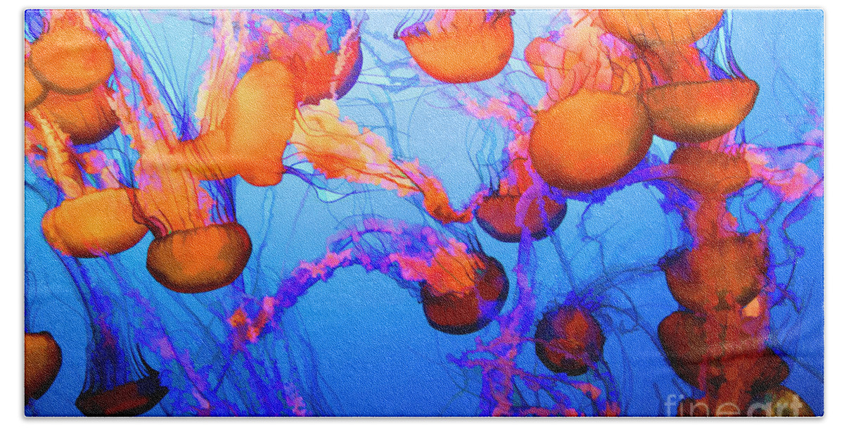 Jelly Fish Beach Towel featuring the photograph Purple Striped Jelly Fish I by Chuck Kuhn