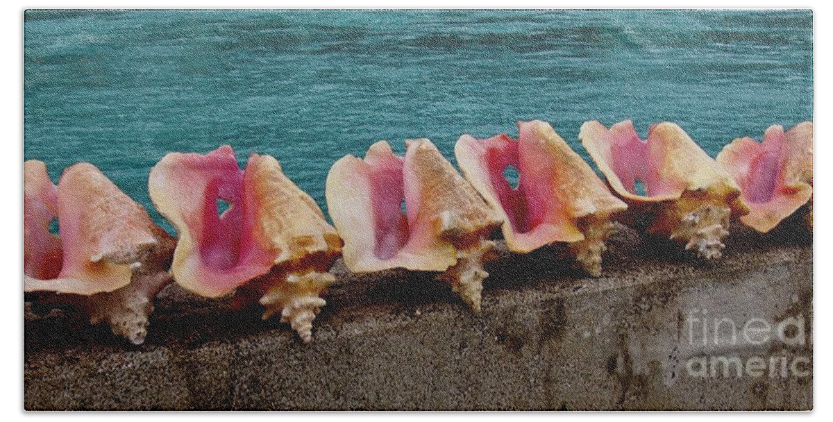Shell Beach Towel featuring the photograph Queen Conch by Joseph Mora
