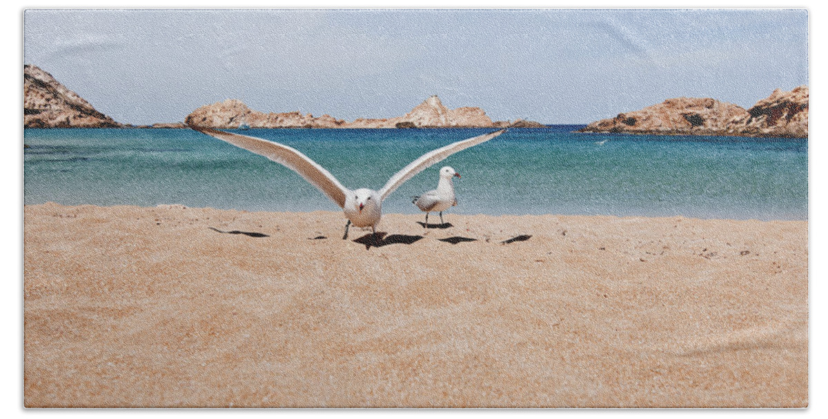 Animal Beach Towel featuring the photograph Queens of blue land in Pregonda beach - Minorca island by Pedro Cardona Llambias