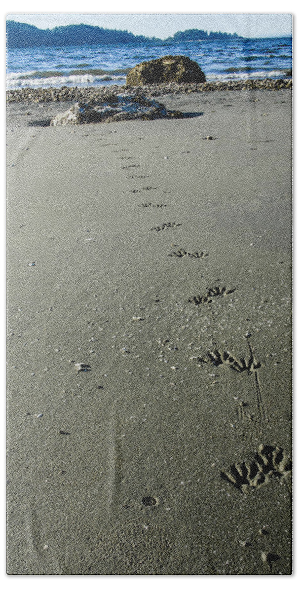 North Beach Towel featuring the photograph Raccoon Tracks by Pelo Blanco Photo