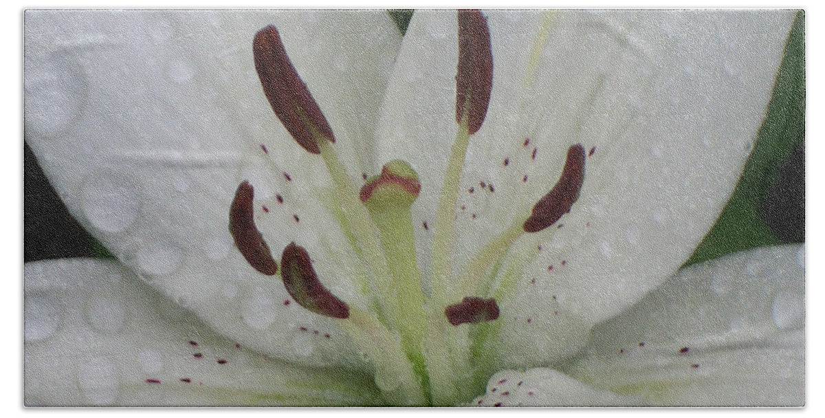 Flowers Beach Towel featuring the photograph Rain Drops on Lily by Cris Fulton